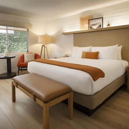 Dr Wilkinsons Backyard Resort And Mineral Springs A Member Of Design Hotels 卡利斯托加 外观 照片
