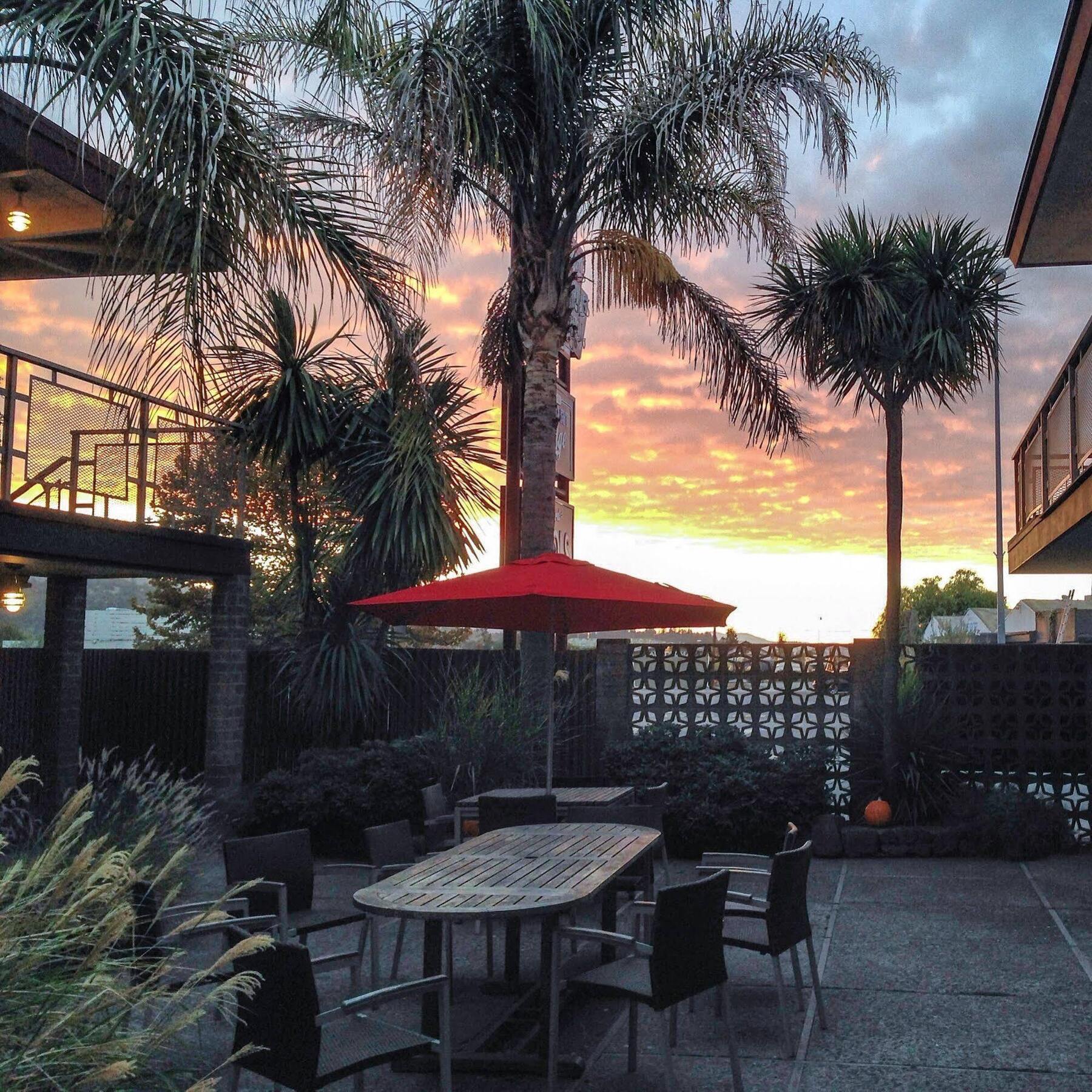 Dr Wilkinsons Backyard Resort And Mineral Springs A Member Of Design Hotels 卡利斯托加 外观 照片